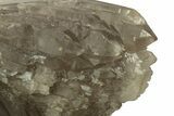 Massive, Double-Terminated Natural Smoky Quartz Crystal #219223-6